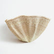 The Tonga Basket - Handwoven Palm Leaf